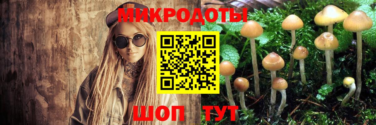 Кимры  Псилоцибиновые грибы Cubensis  Вход с VPN 
